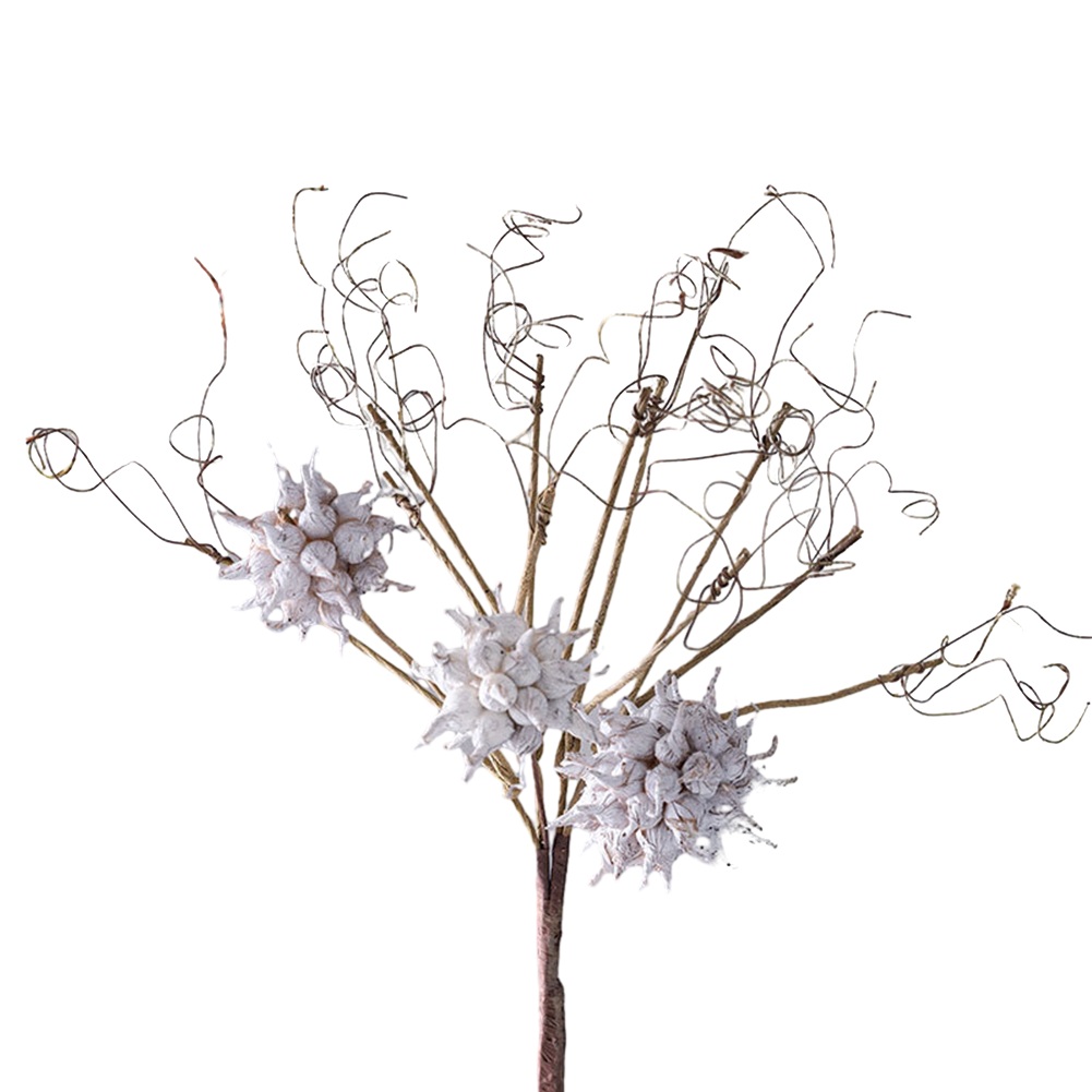 Fleurs artificielles, plantes  - Sustainable Living Officer avis et prix