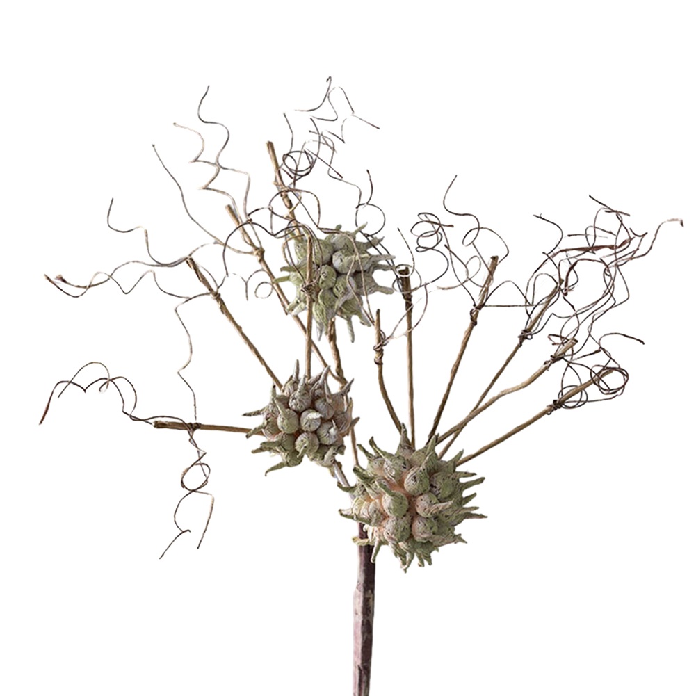 Fleurs artificielles, plantes  - Sustainable Living Officer avis et prix